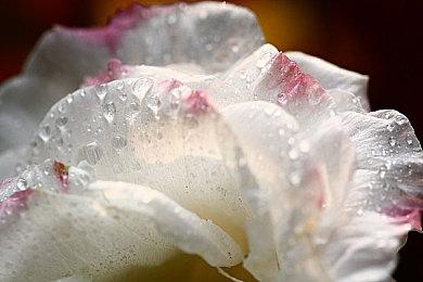 《无主之地4》终局内容及发布后路线图详情公布